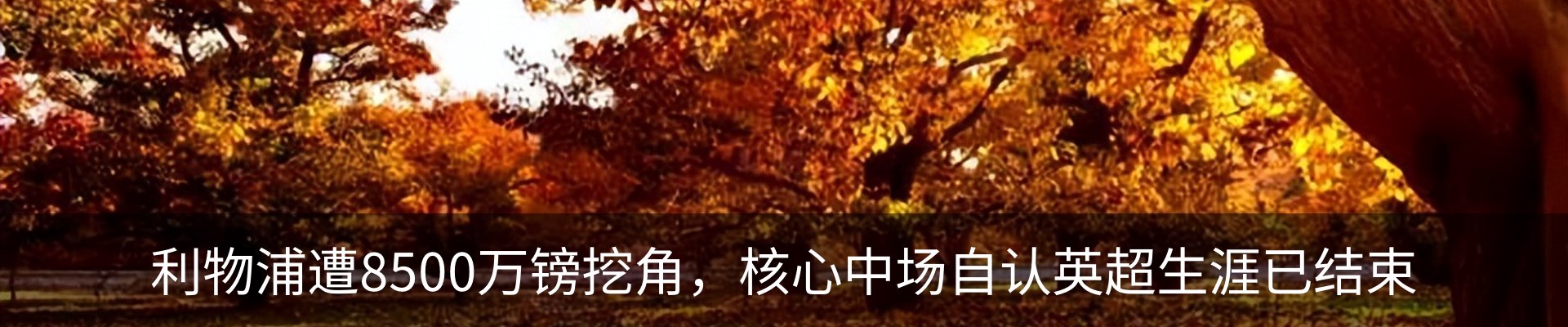 内页banner