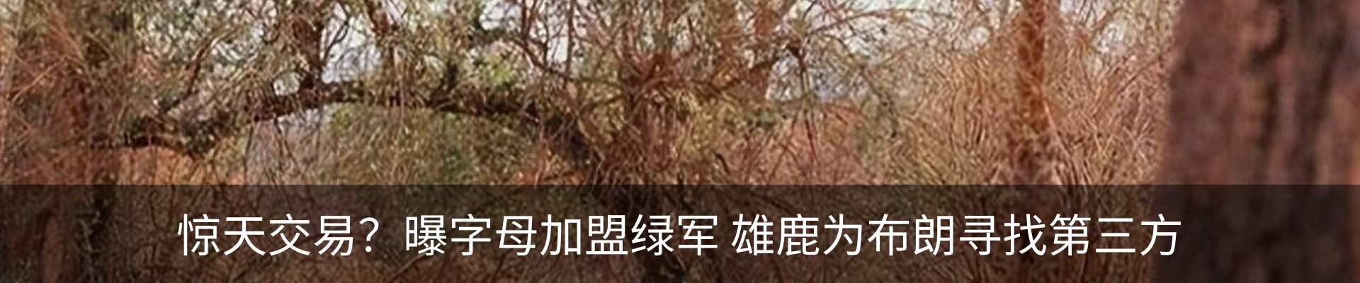 内页banner