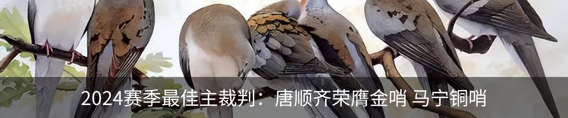 内页banner